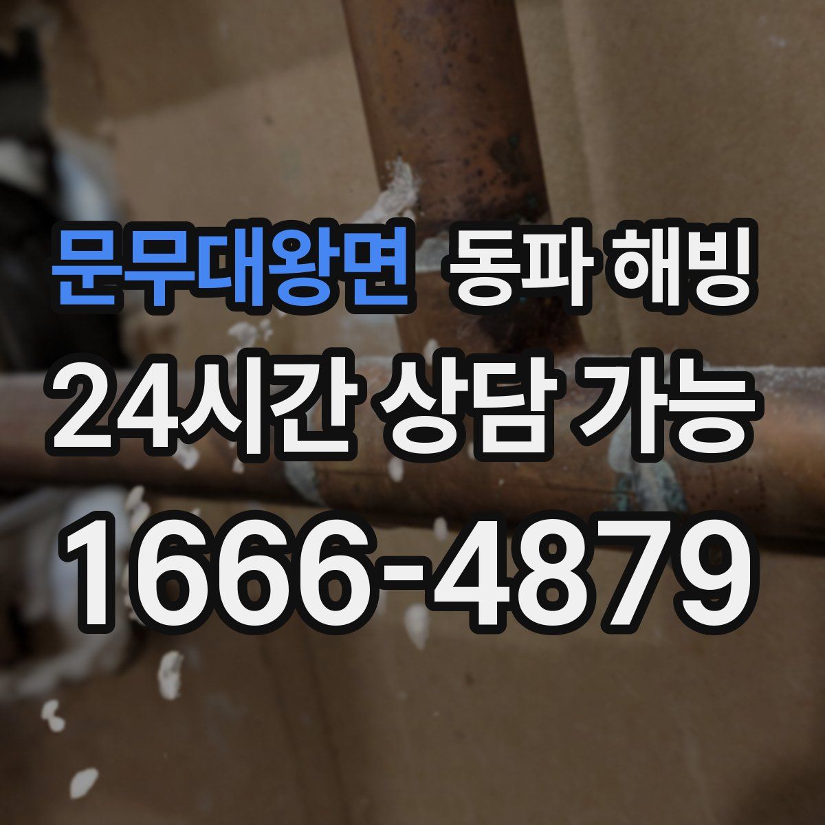 문무대왕면 해빙