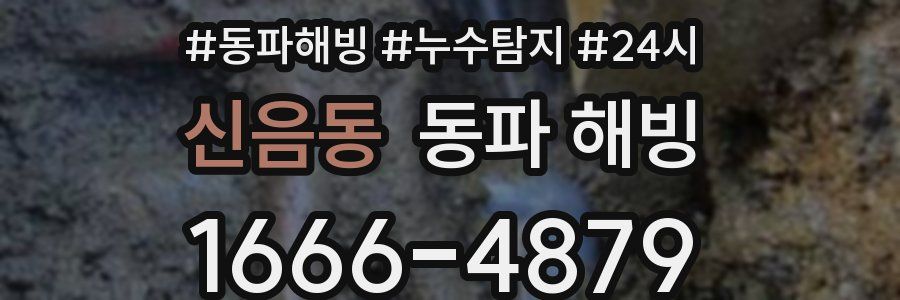 신음동 동파