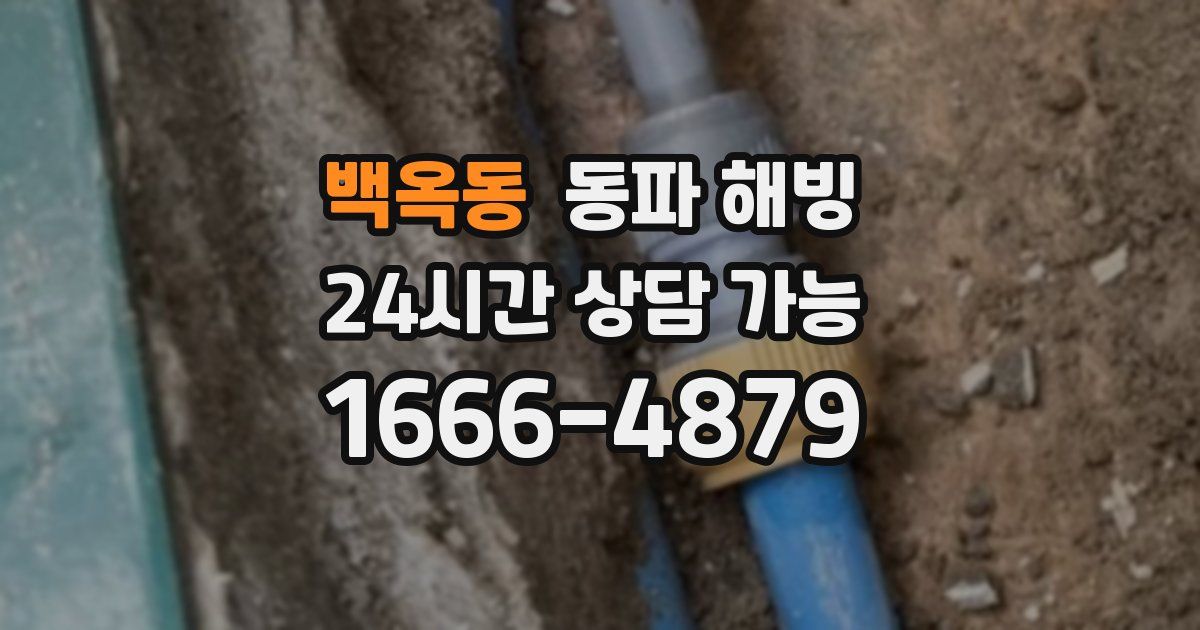 백옥동 동파 해빙