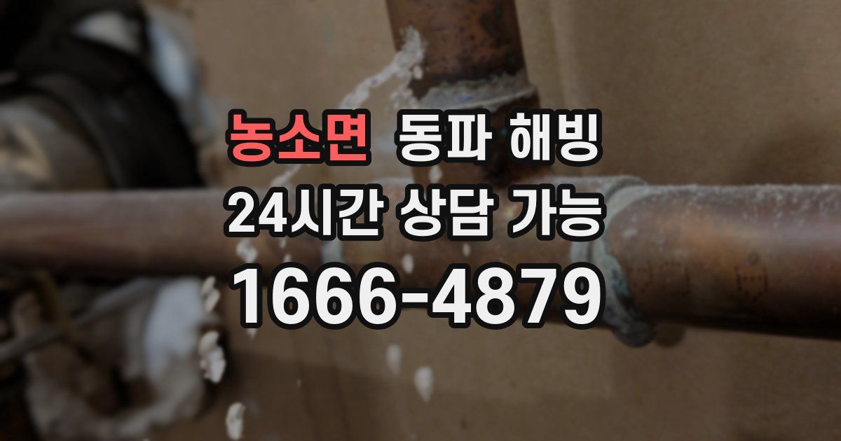 농소면 동파 해빙