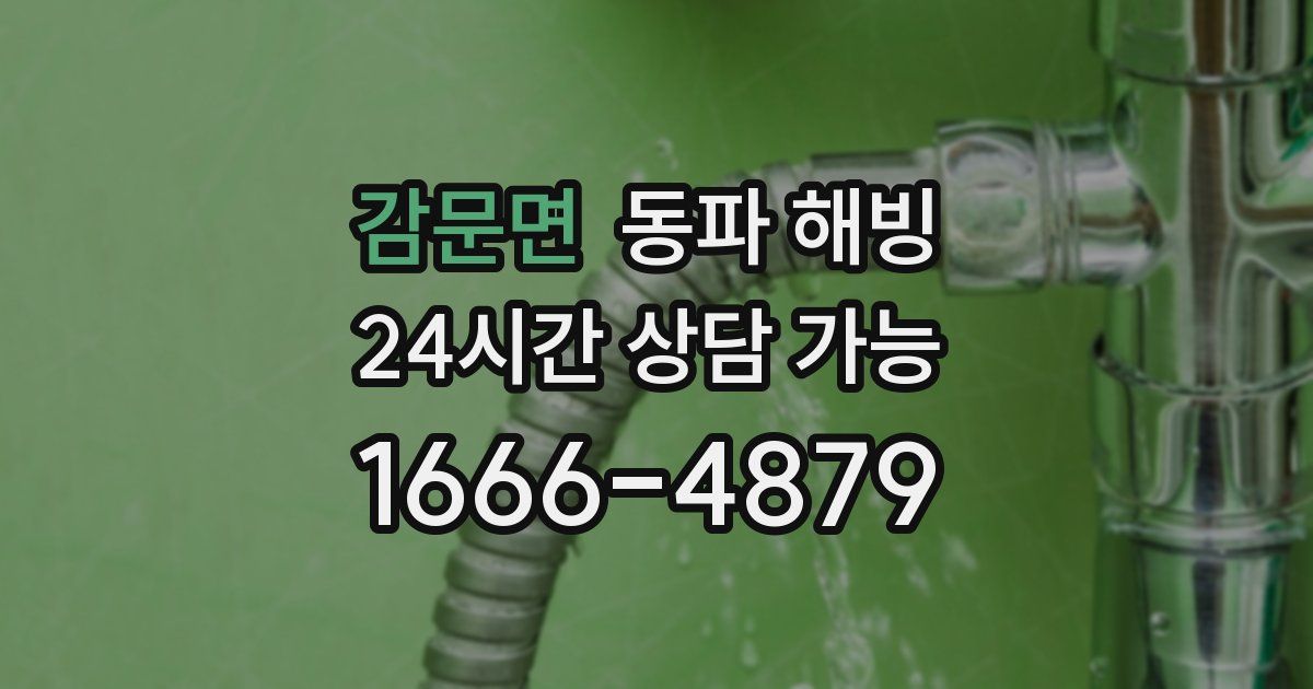 감문면 동파 해빙