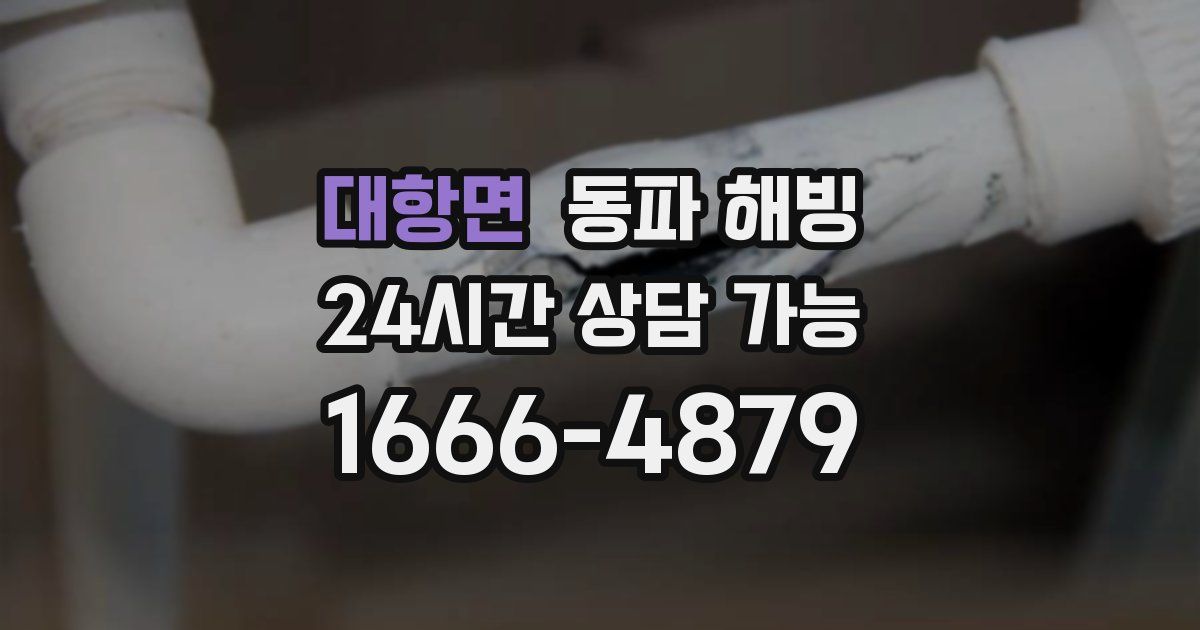 대항면 동파 해빙