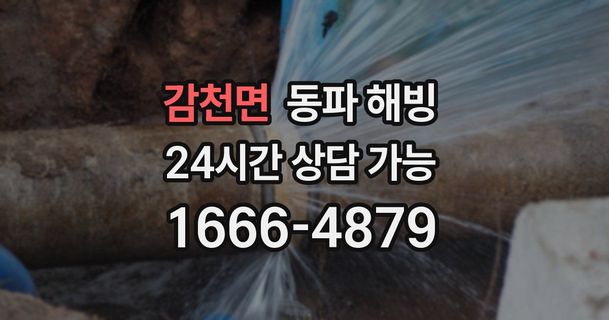 감천면 동파 해빙