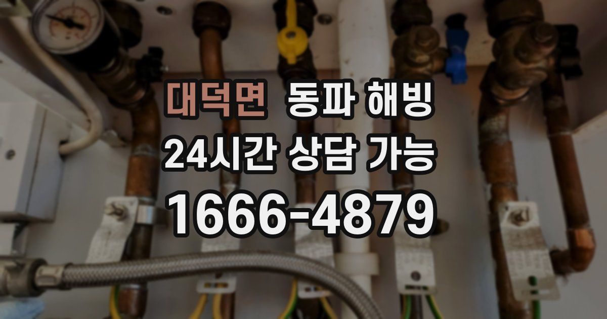 대덕면 동파 해빙