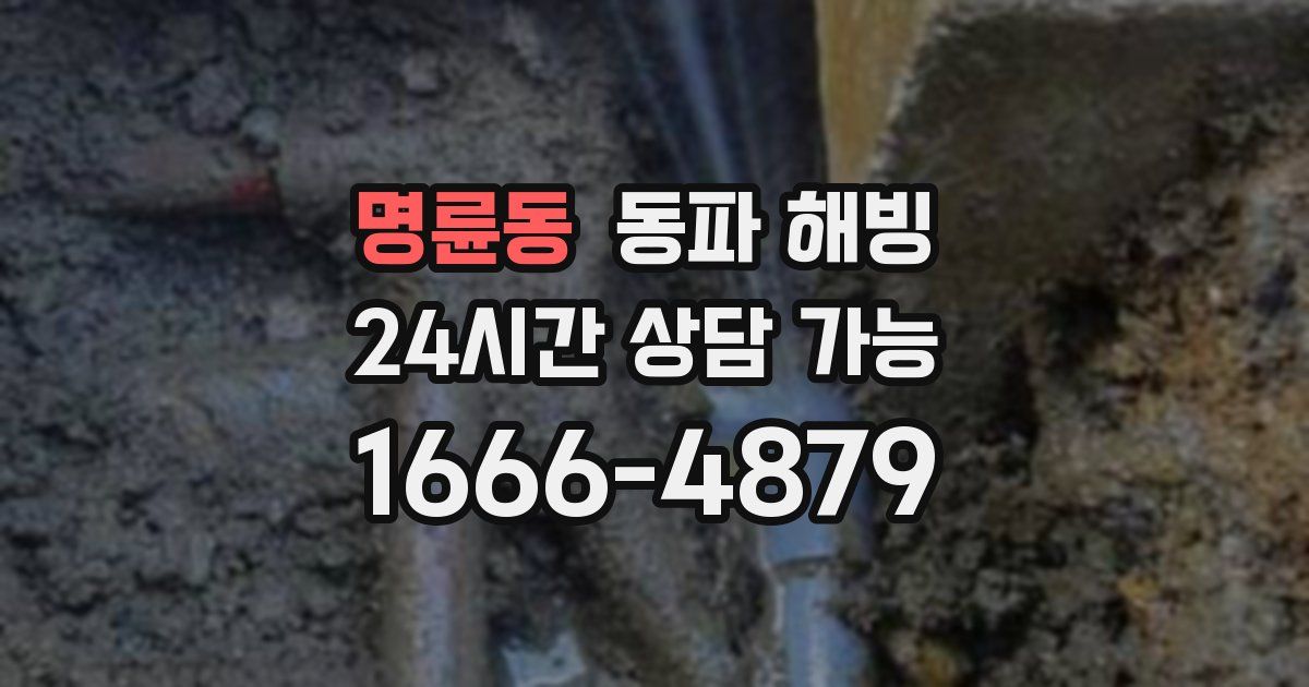 명륜동 동파 해빙