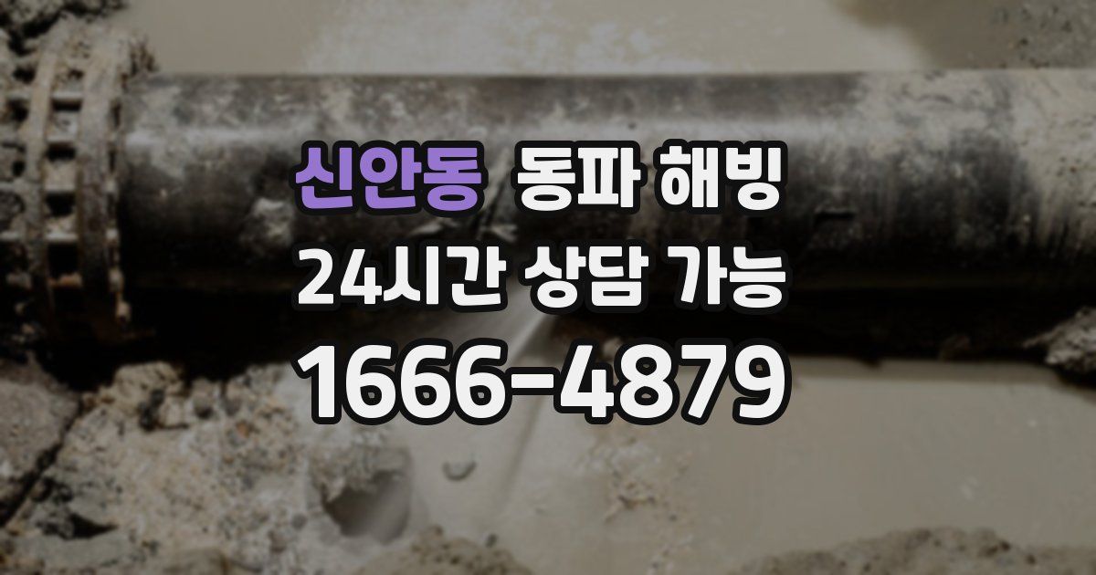 신안동 동파 해빙