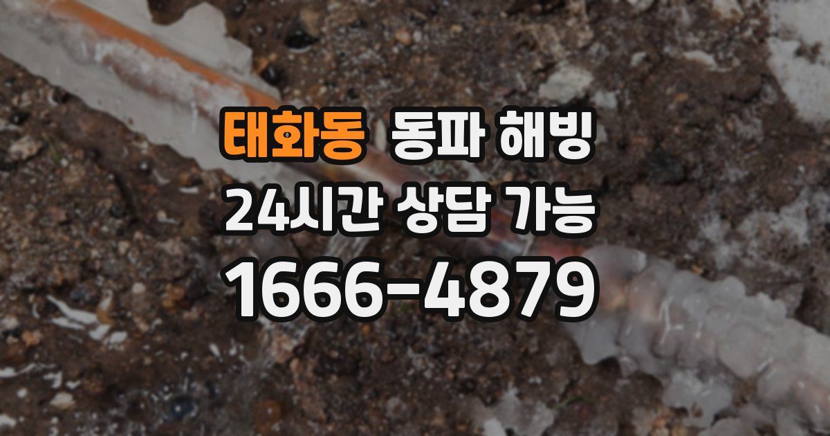 태화동 동파 해빙