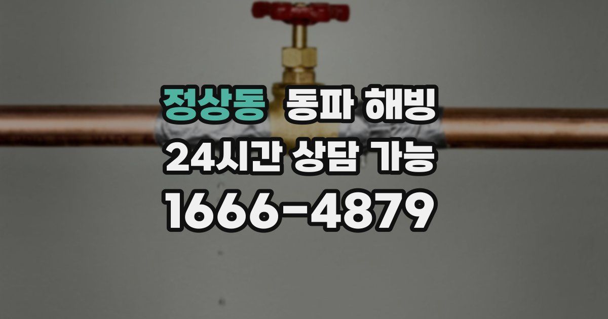 정상동 동파 해빙