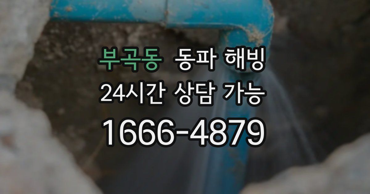 부곡동 동파 해빙