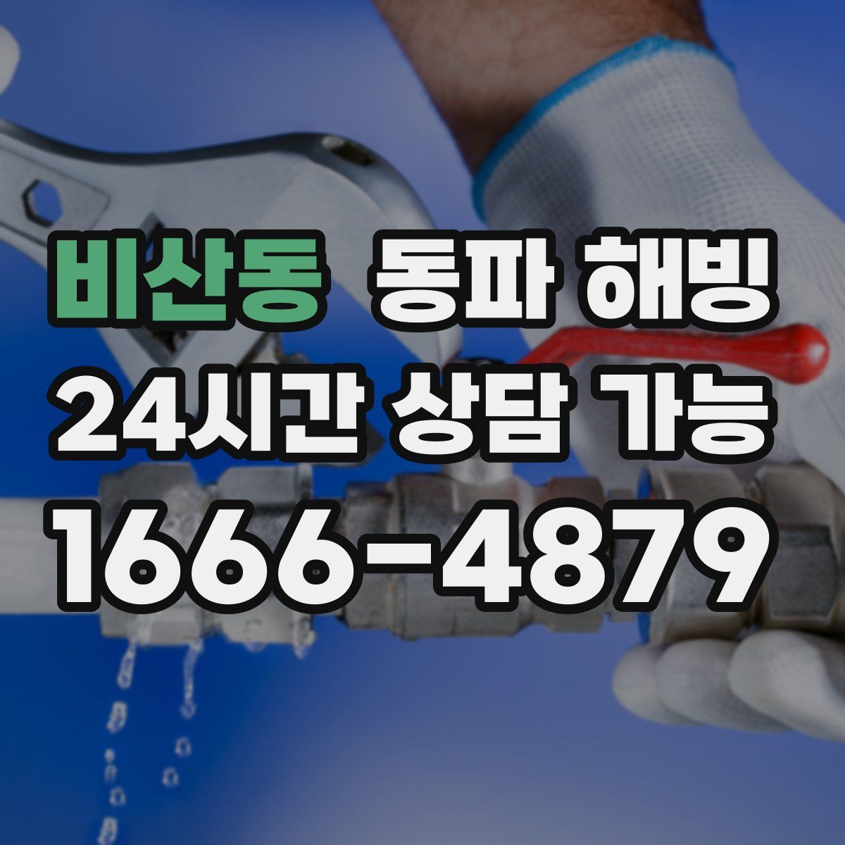 비산동 해빙