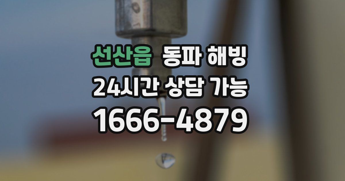 선산읍 동파 해빙