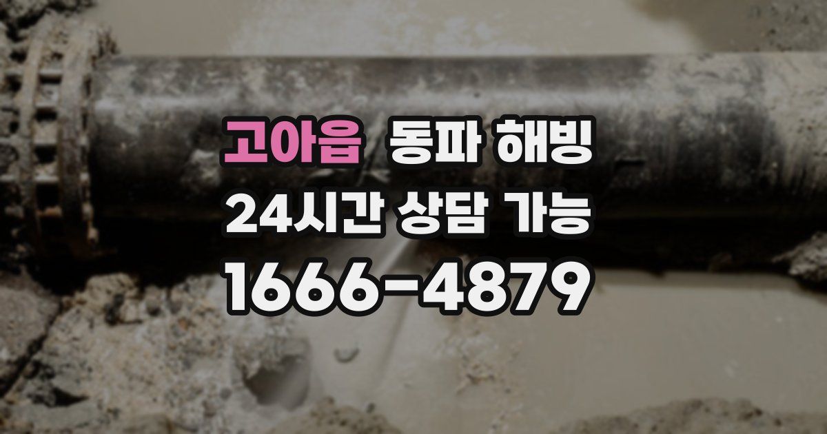 고아읍 동파 해빙