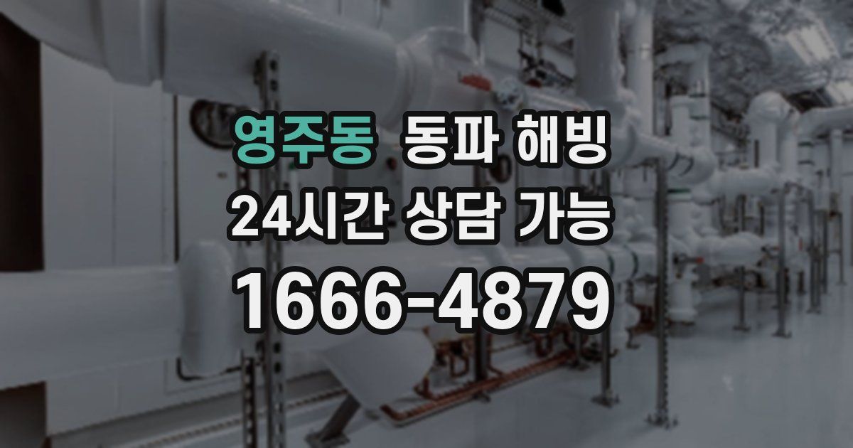 영주동 동파 해빙