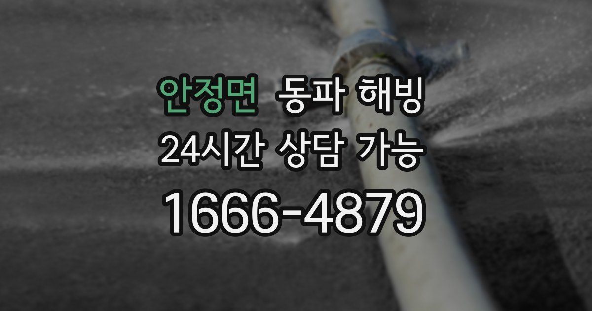 안정면 동파 해빙