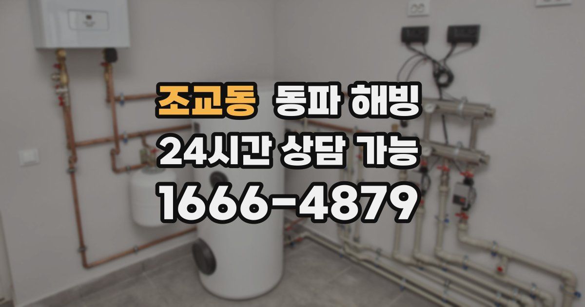 조교동 동파 해빙