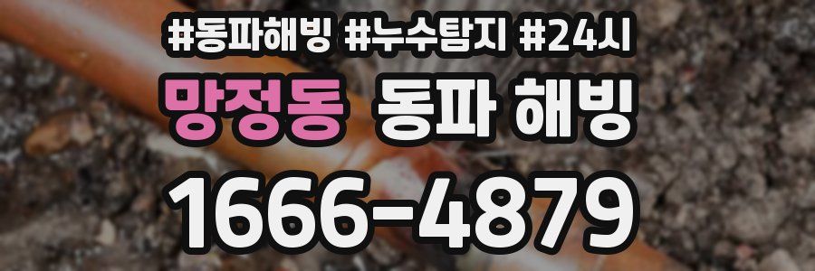 망정동 동파