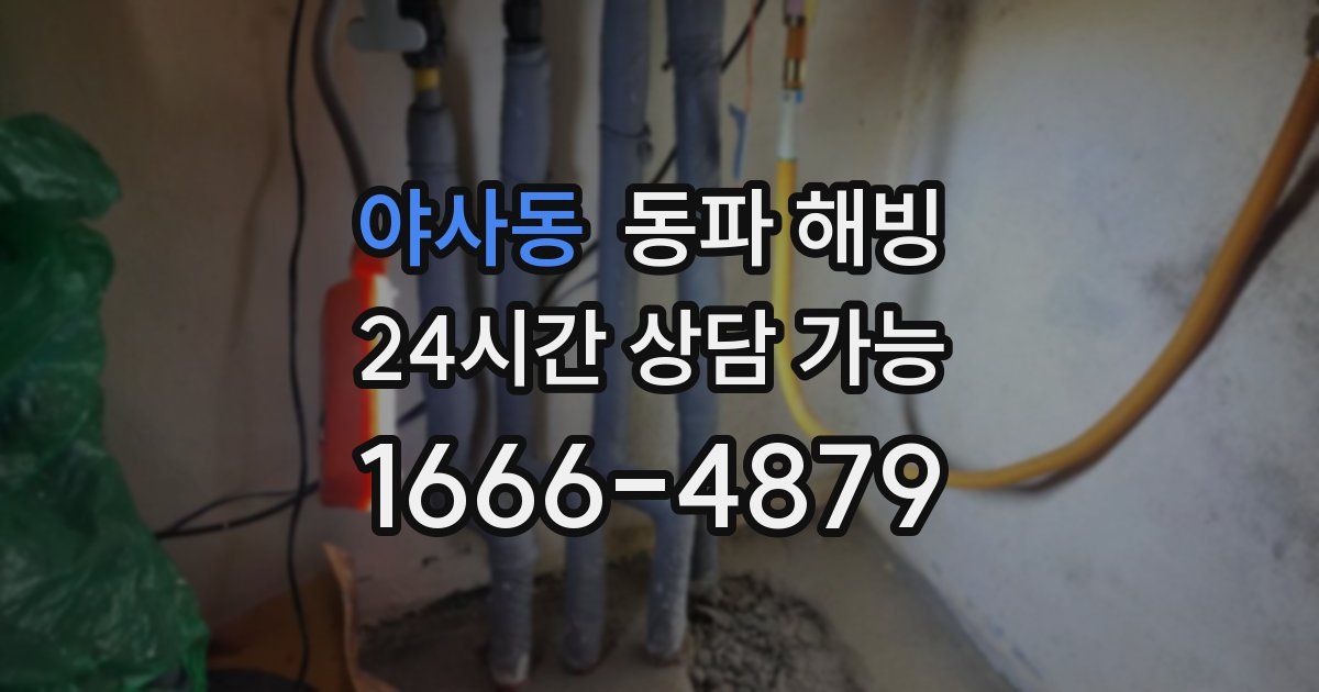 야사동 동파 해빙