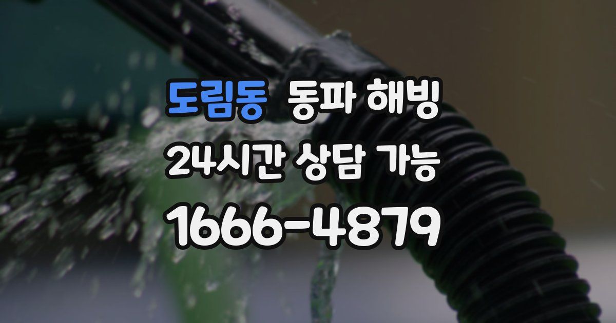 도림동 동파 해빙