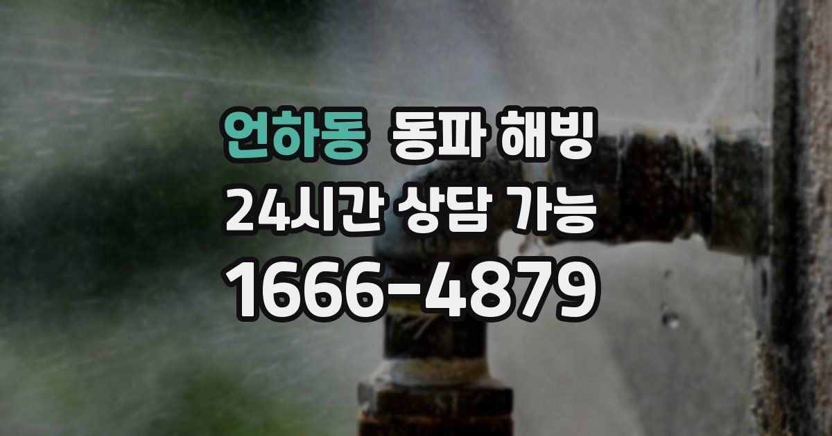 언하동 동파 해빙