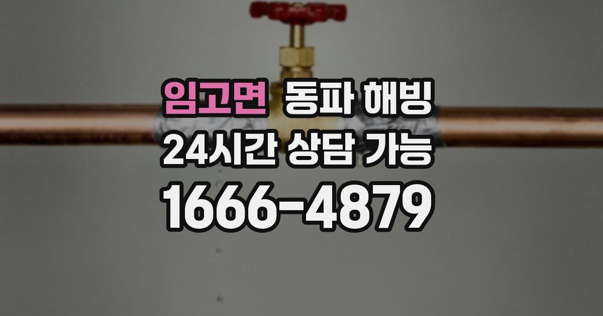 임고면 동파 해빙