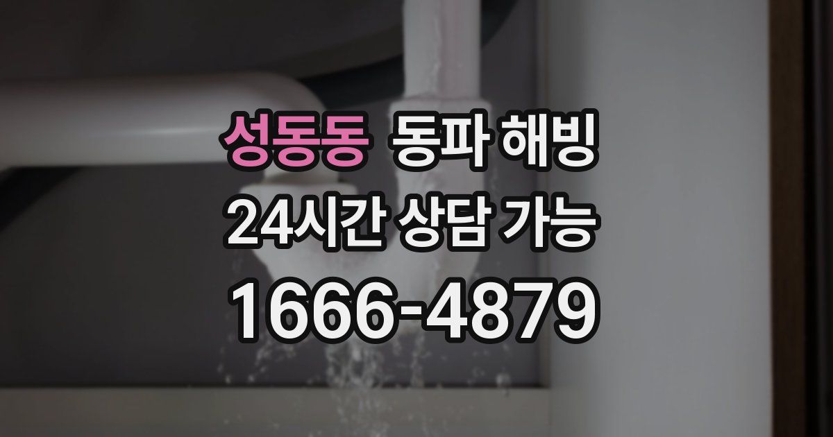 성동동 동파 해빙