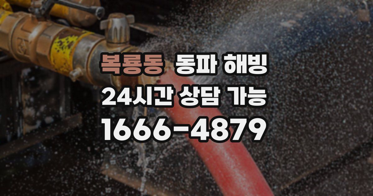 복룡동 동파 해빙