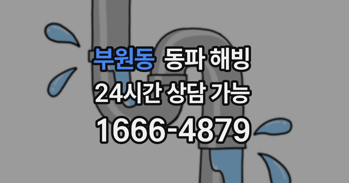 부원동 동파 해빙