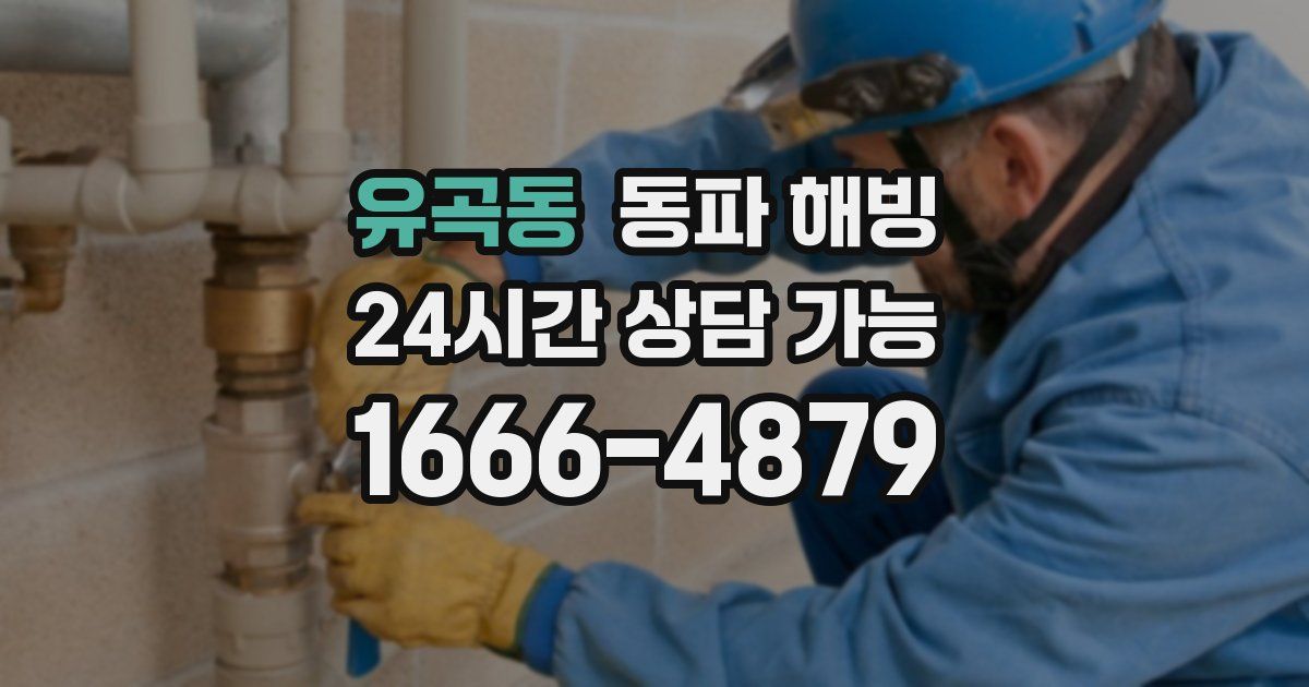 유곡동 동파 해빙