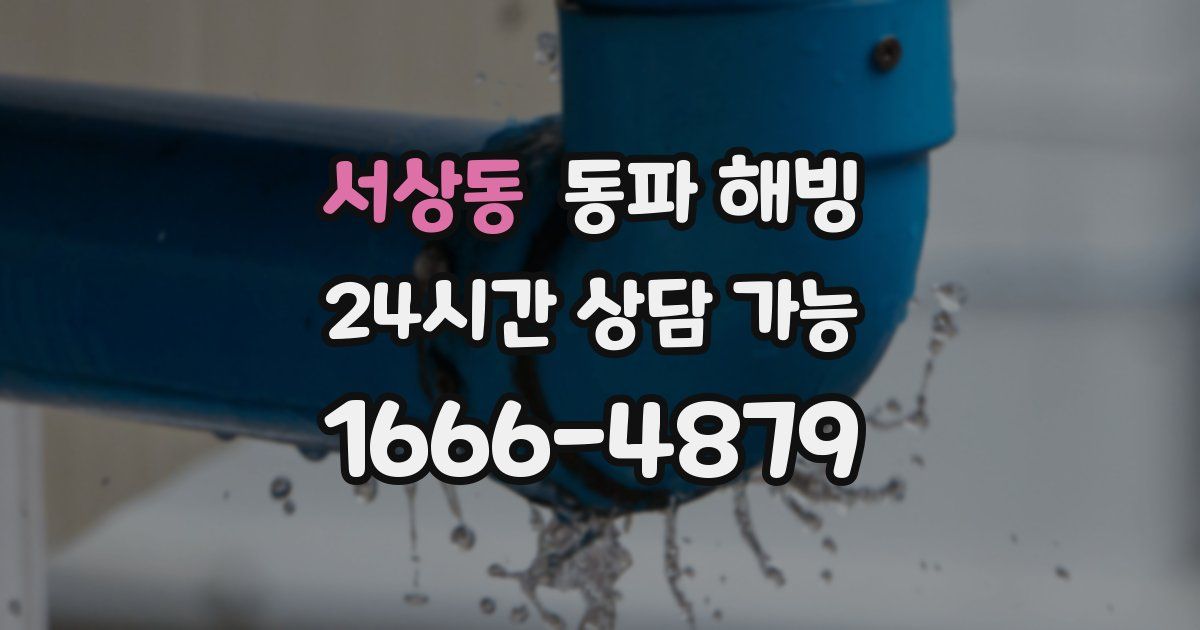 서상동 동파 해빙