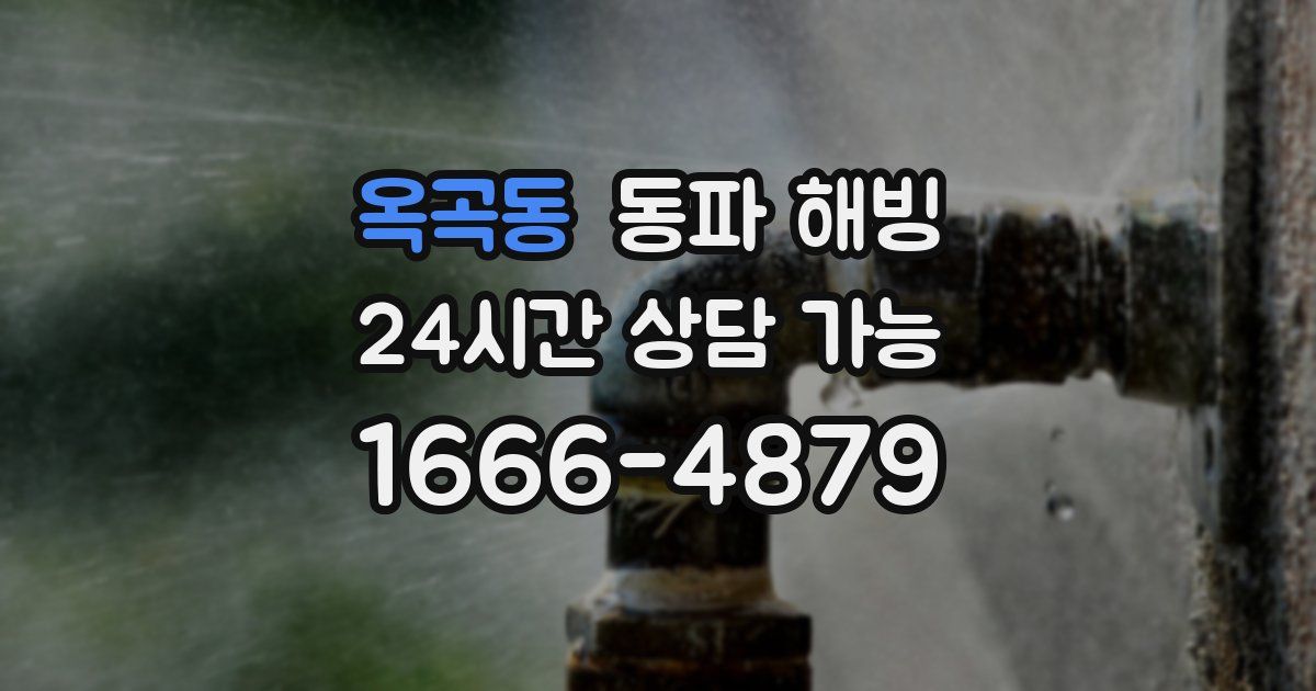 옥곡동 동파 해빙