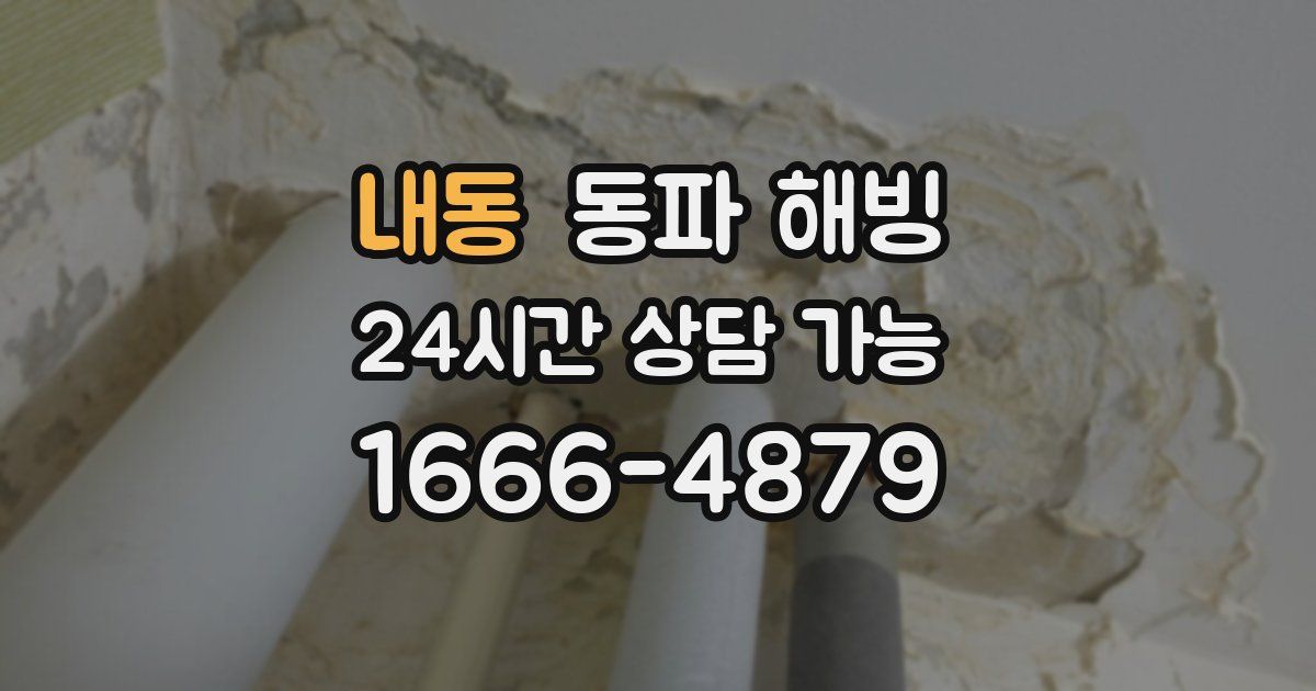 내동 동파 해빙