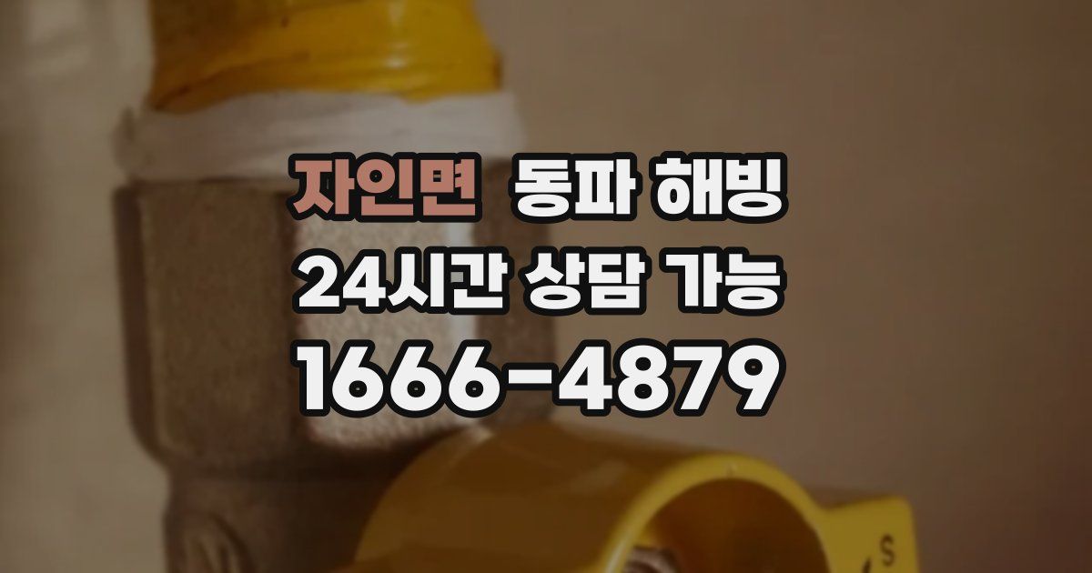 자인면 동파 해빙