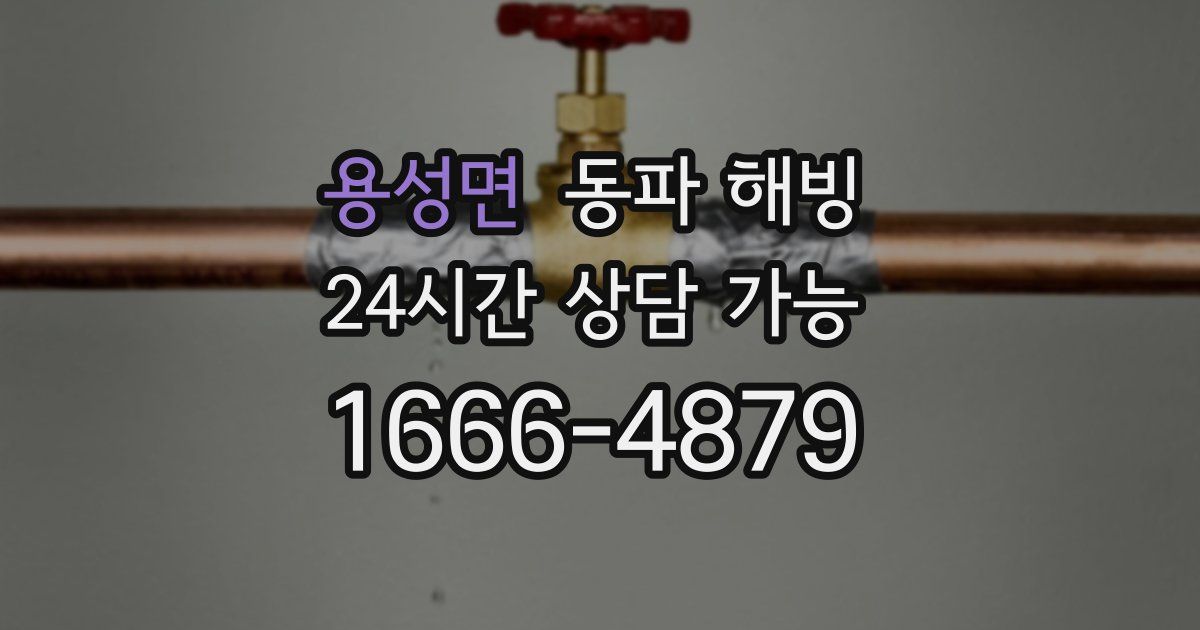 용성면 동파 해빙