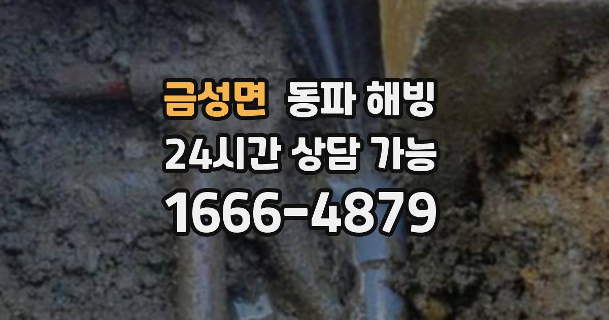 금성면 동파 해빙