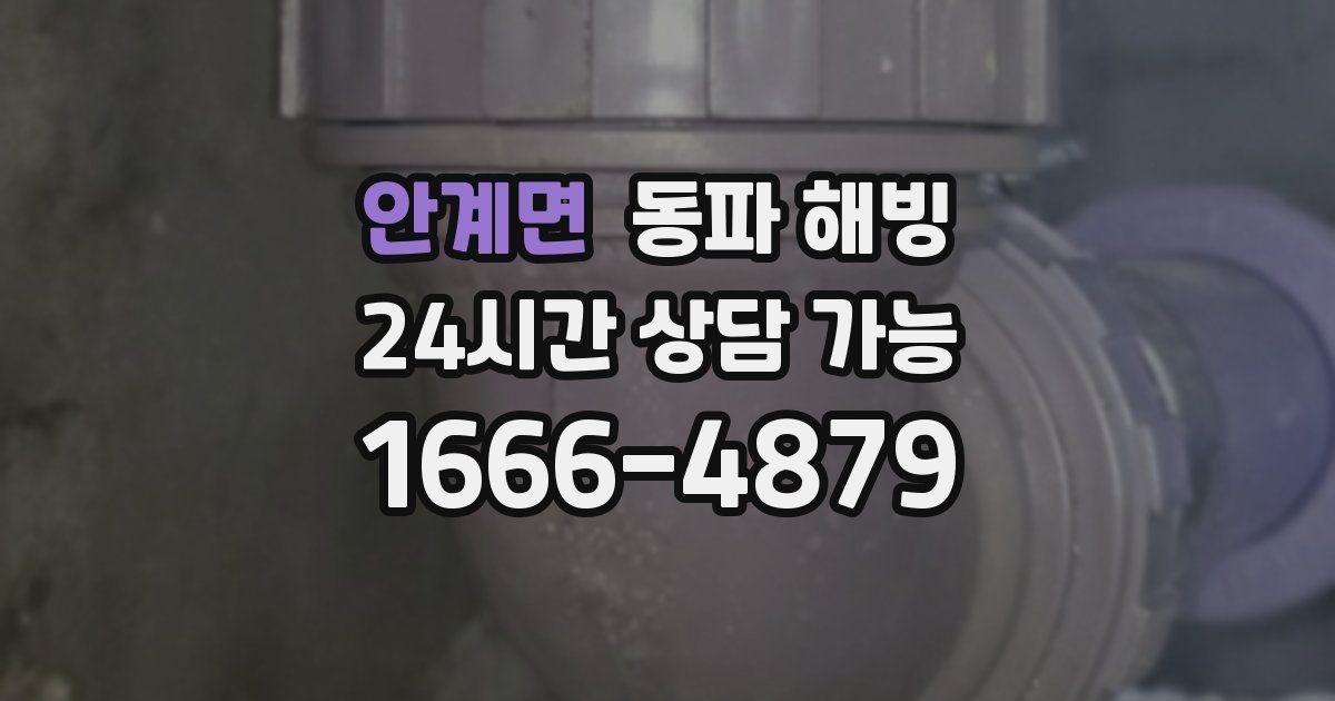 안계면 동파 해빙