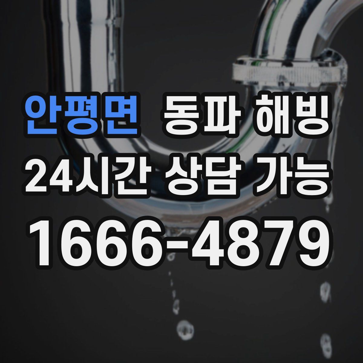 안평면 해빙