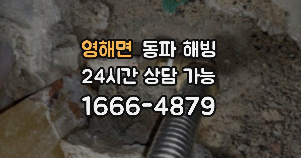 영해면 동파 해빙