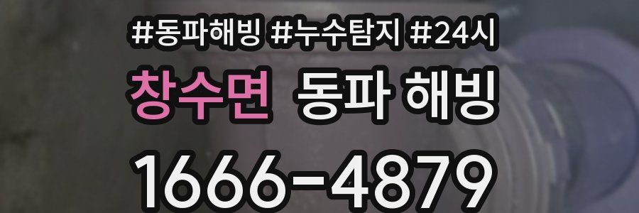 창수면 동파