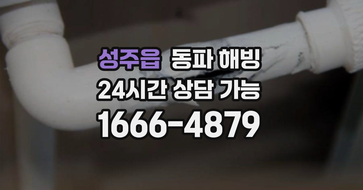 성주읍 동파 해빙