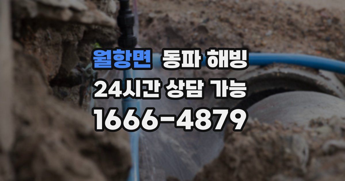 월항면 동파 해빙