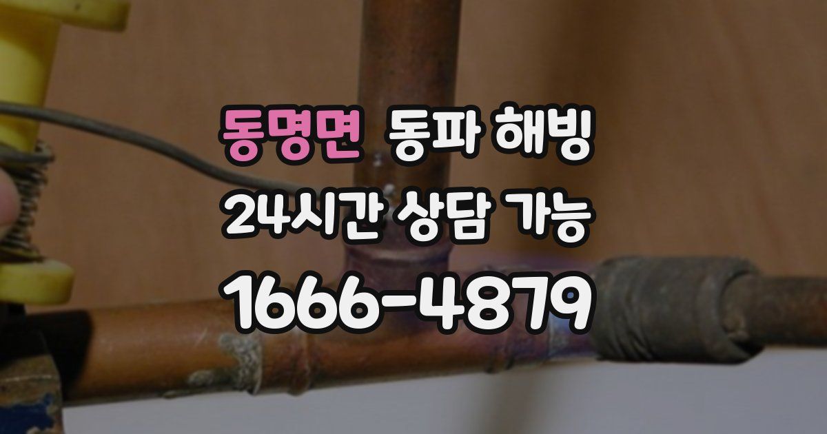 동명면 동파 해빙