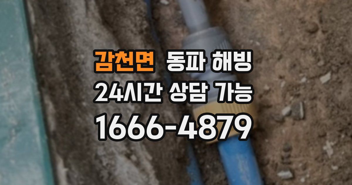 감천면 동파 해빙