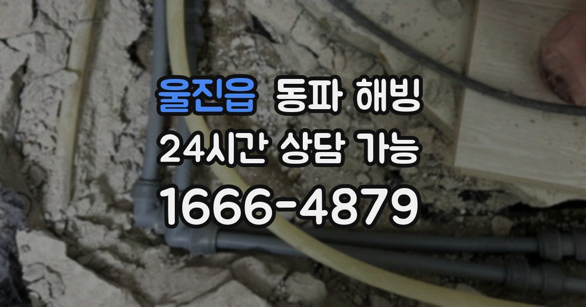 울진읍 동파 해빙