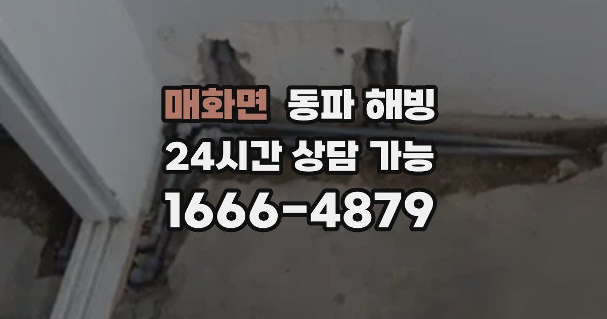 매화면 동파 해빙