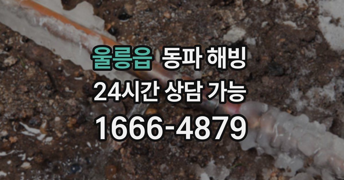 울릉읍 동파 해빙