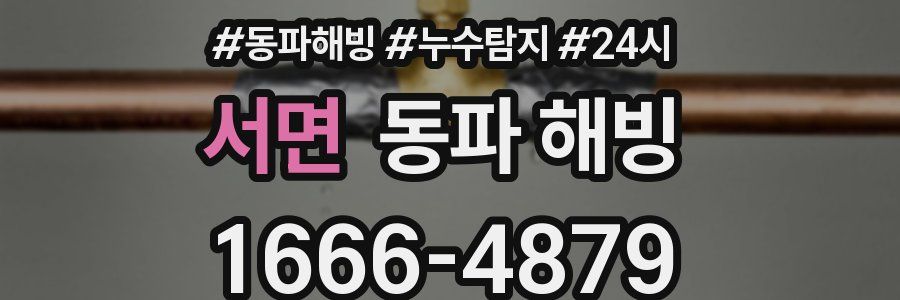 서면 동파