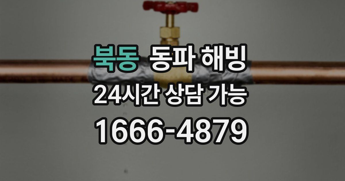 북동 동파 해빙