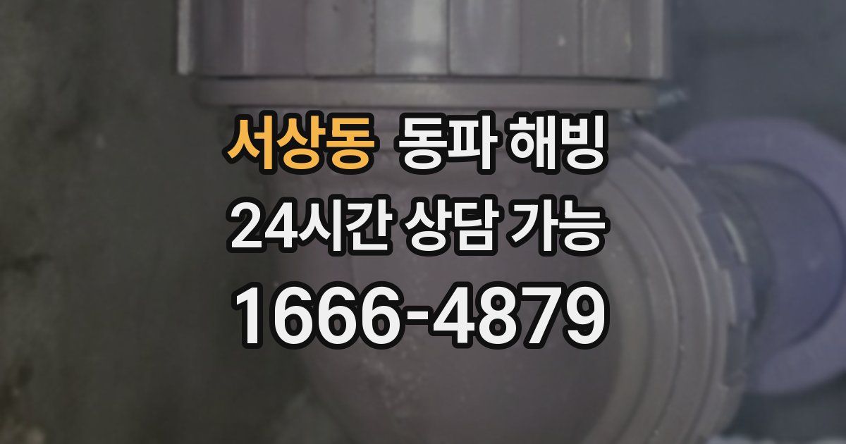 서상동 동파 해빙