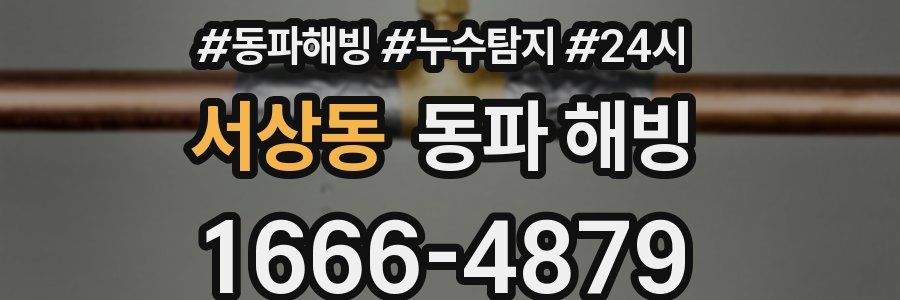 서상동 동파