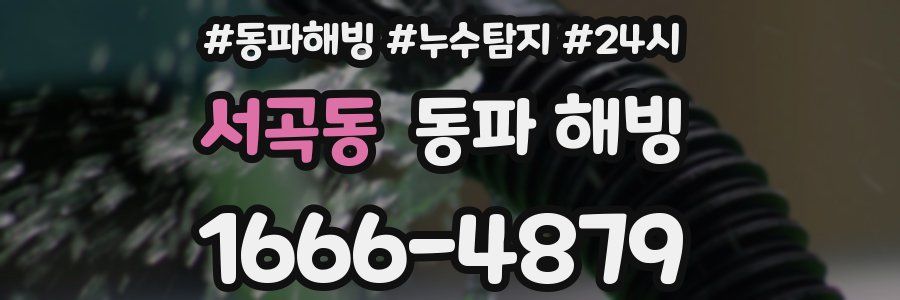 서곡동 동파